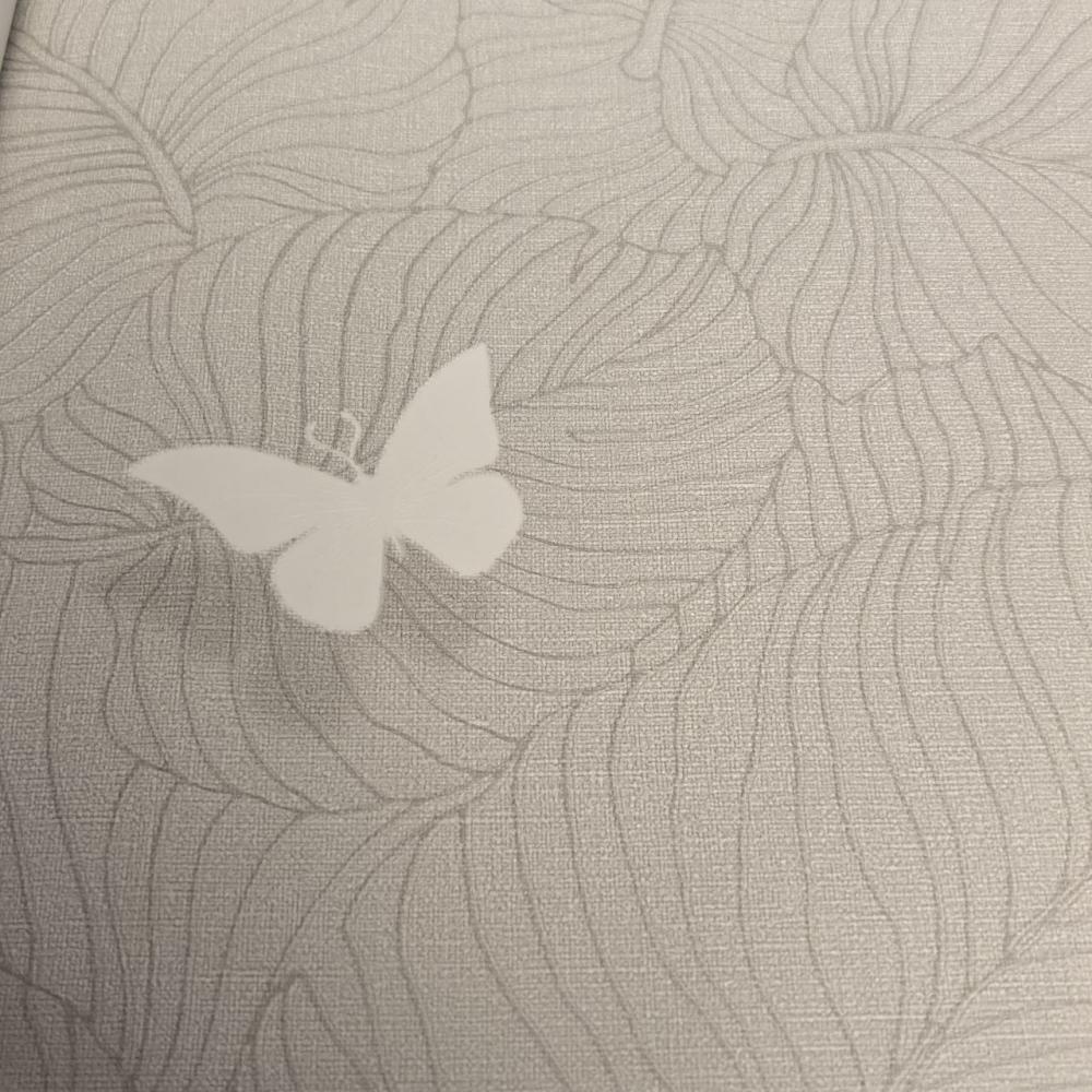 Andrea Rossi Berggi 54453-2