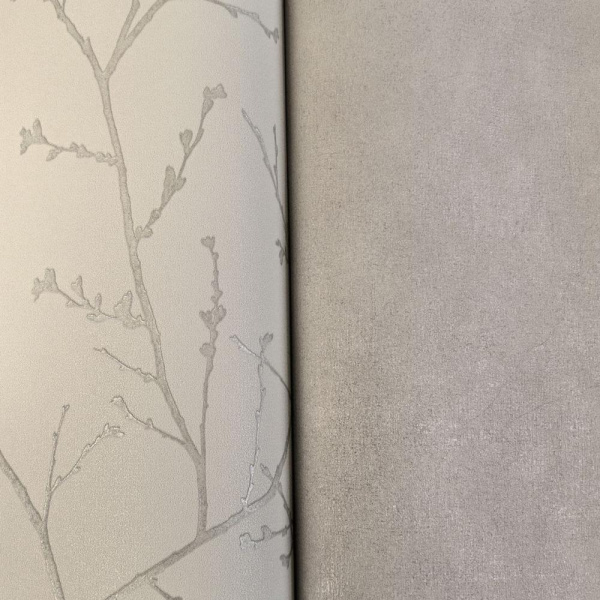 Alessandro Allori Argiano 15024-4