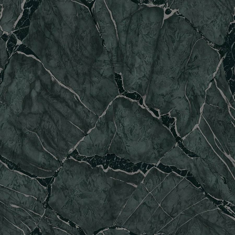 Zambaiti Parati Philipp Plein Z 81041