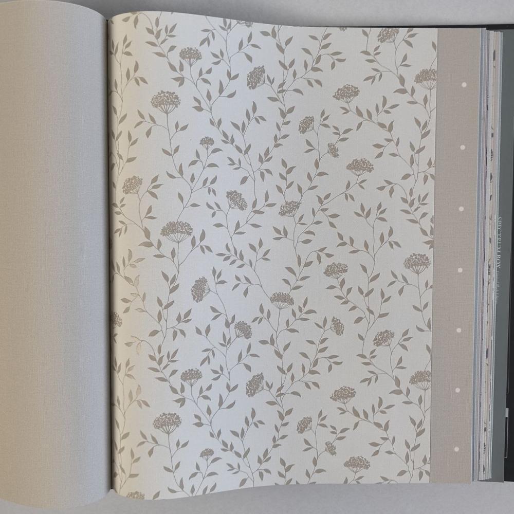 Andrea Rossi Spectrum Box 54456-2