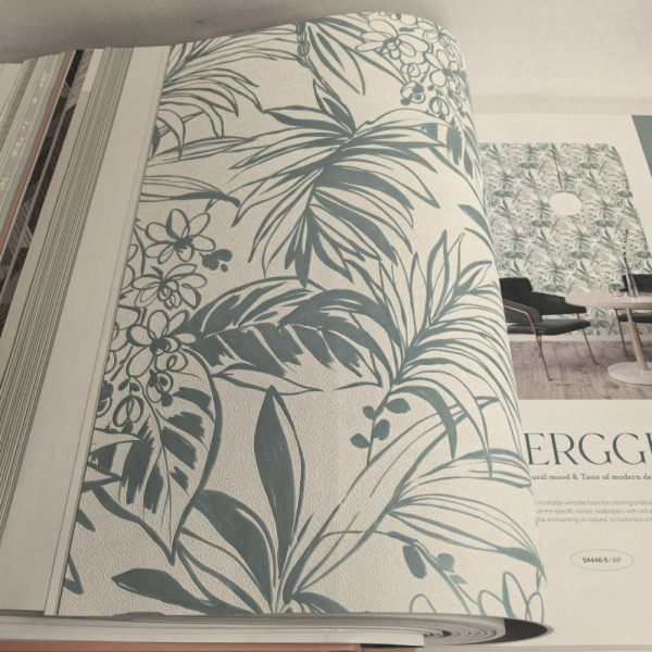 Andrea Rossi Berggi 54446-5