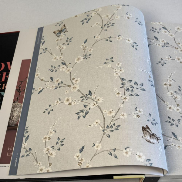 Andrea Rossi Spectrum Box 54460-3 Andrea Rossi Spectrum Box 54460-3