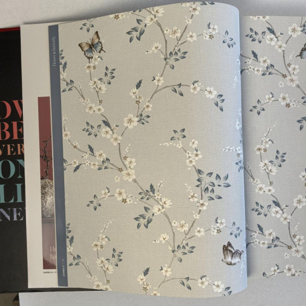 Andrea Rossi Spectrum Box 54460-3 Andrea Rossi Spectrum Box 54460-3