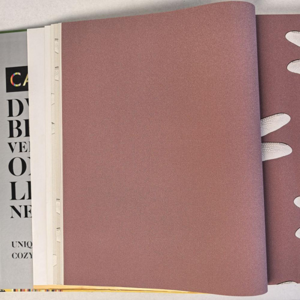 Andrea Rossi Cavolli 54424-9 Andrea Rossi Cavolli 54424-9