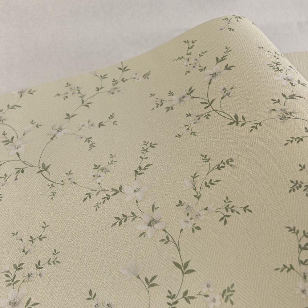 Alessandro Allori Bruni RBN 1001-7