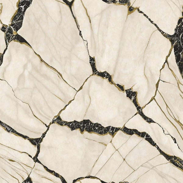 Zambaiti Parati Philipp Plein Z 81038