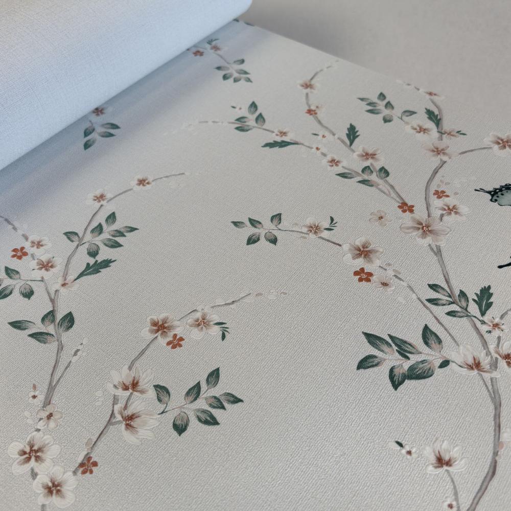 Andrea Rossi Spectrum Box 54460-6