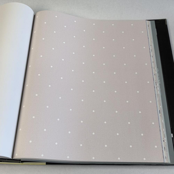 Andrea Rossi Spectrum Box 54454-19