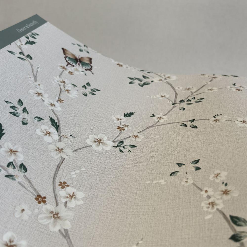 Andrea Rossi Spectrum Box 54460-2 Andrea Rossi Spectrum Box 54460-2