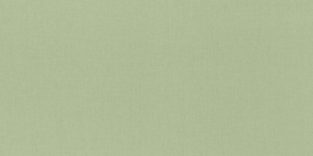 Rasch Novella 960716