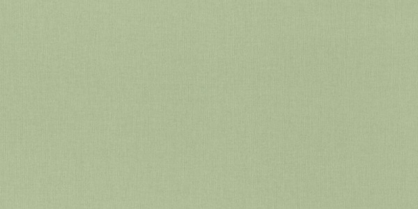 Rasch Novella 960716