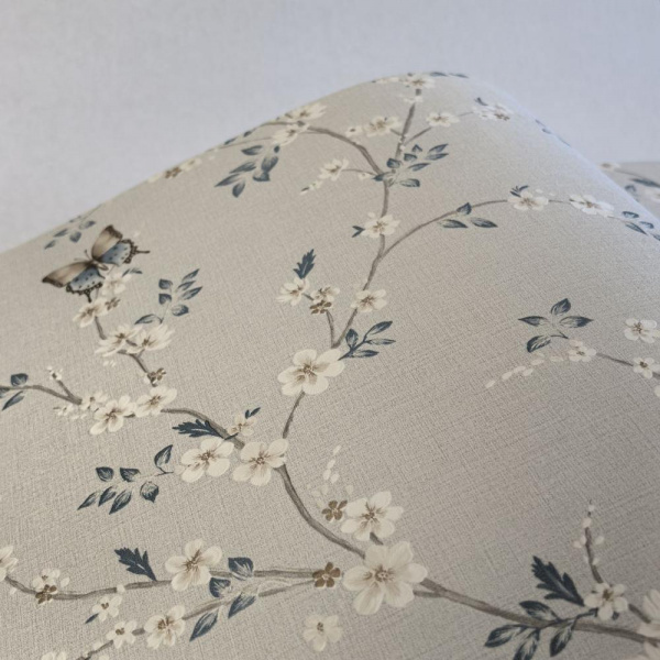 Andrea Rossi Spectrum Box 54460-3 Andrea Rossi Spectrum Box 54460-3